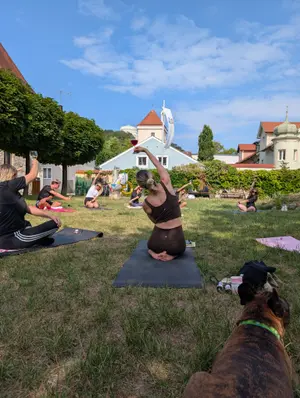 Wein-Yoga 10