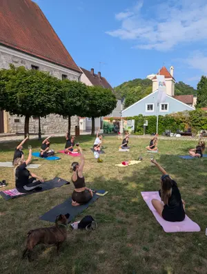Wein-Yoga 11